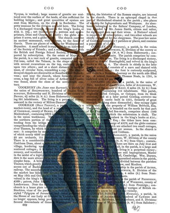 FabFunky Scottish Deer Alistair McStag