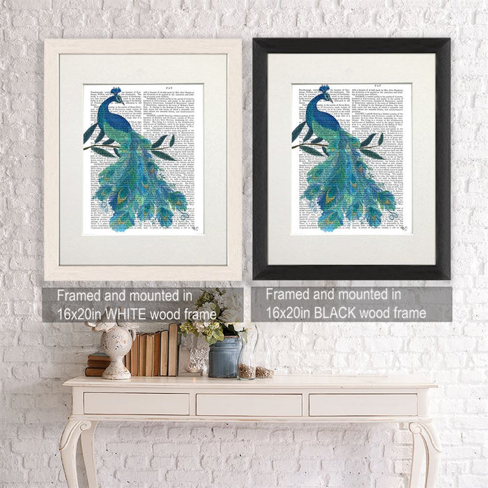 Peacock with Doodle Tail on White, Book Print, Art Print, Wall Art