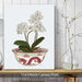Chinoiserie Orchids White, Dragon Bowl Red, Art Print | Framed Black